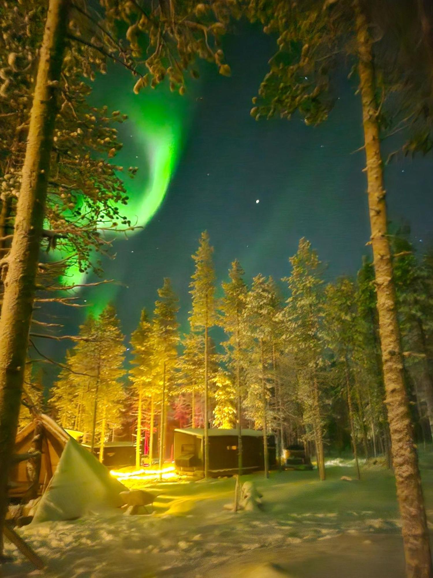 Kotatieva * Rovaniemi